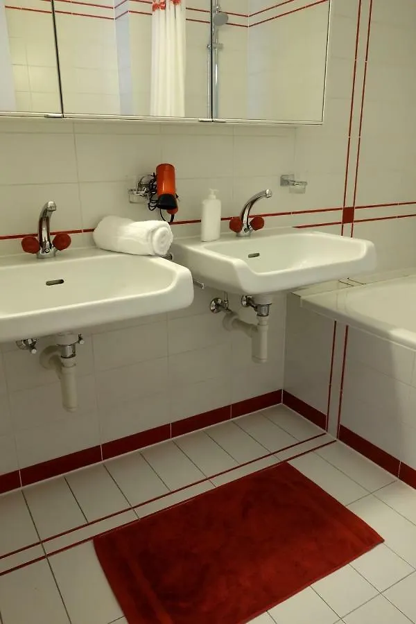 Exclusive Central Apartment Basel Switzerland