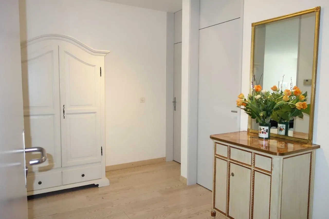 Exclusive Central Apartment Basel 0*,